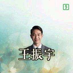 王振宇